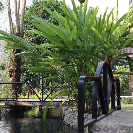 In My Dream Resort Ban Huai Maenam Noi Eksteriør billede