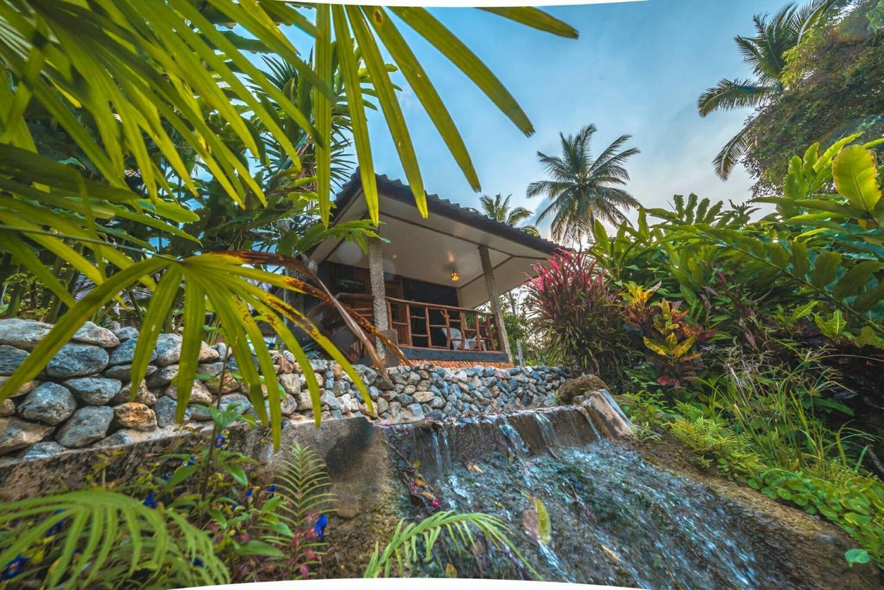 In My Dream Resort Ban Huai Maenam Noi Eksteriør billede