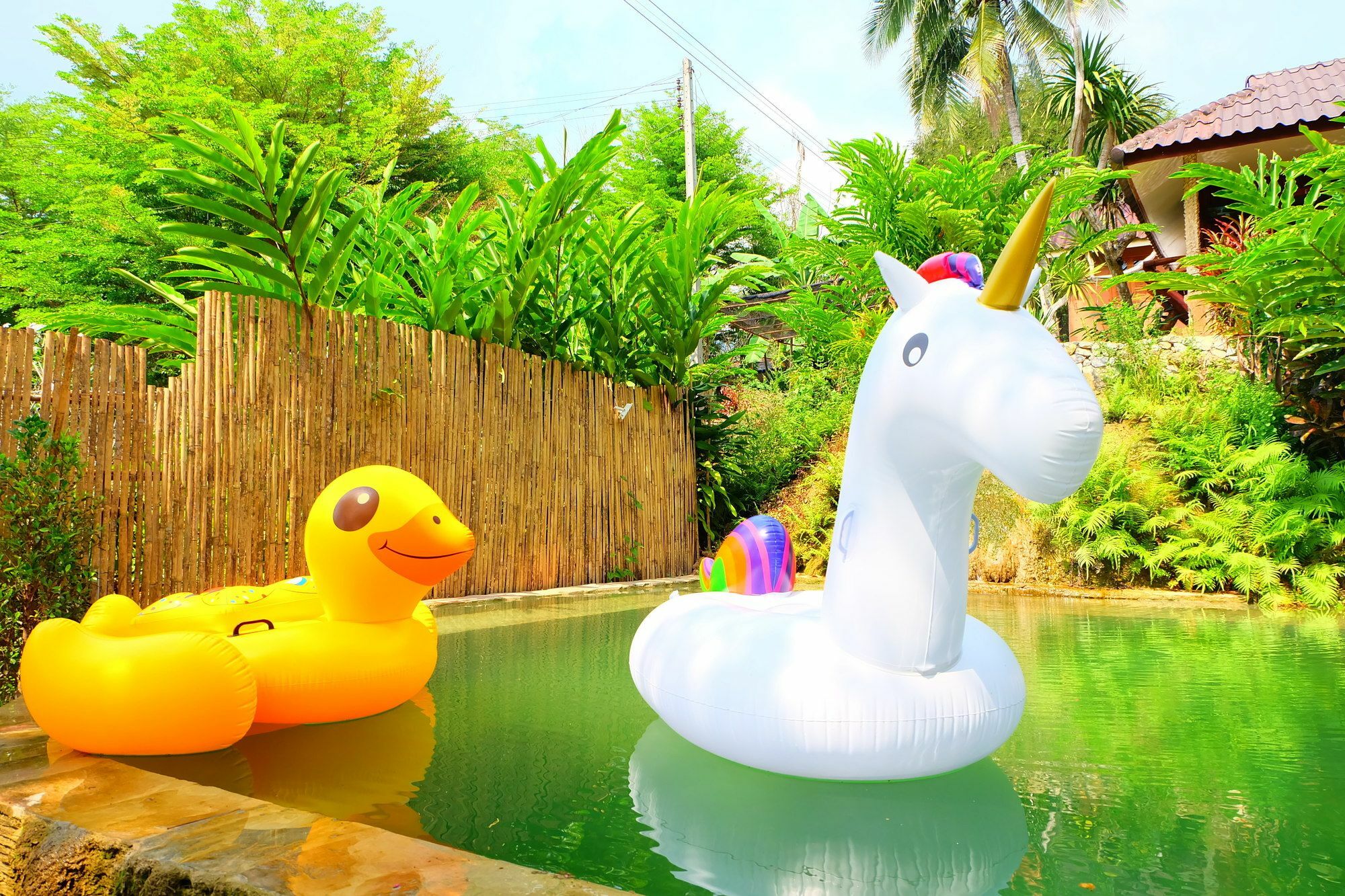 In My Dream Resort Ban Huai Maenam Noi Eksteriør billede
